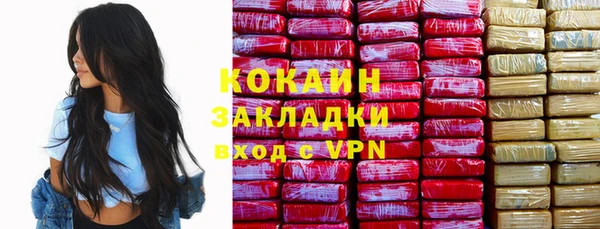 дживик Мегион