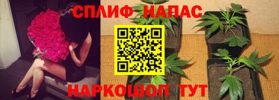 ECSTASY Бузулук