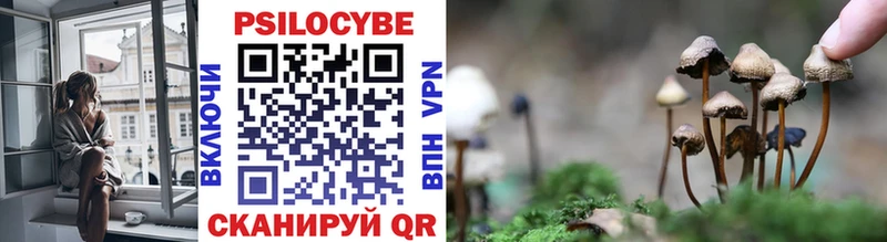 Галлюциногенные грибы мицелий  Комсомольск-на-Амуре 