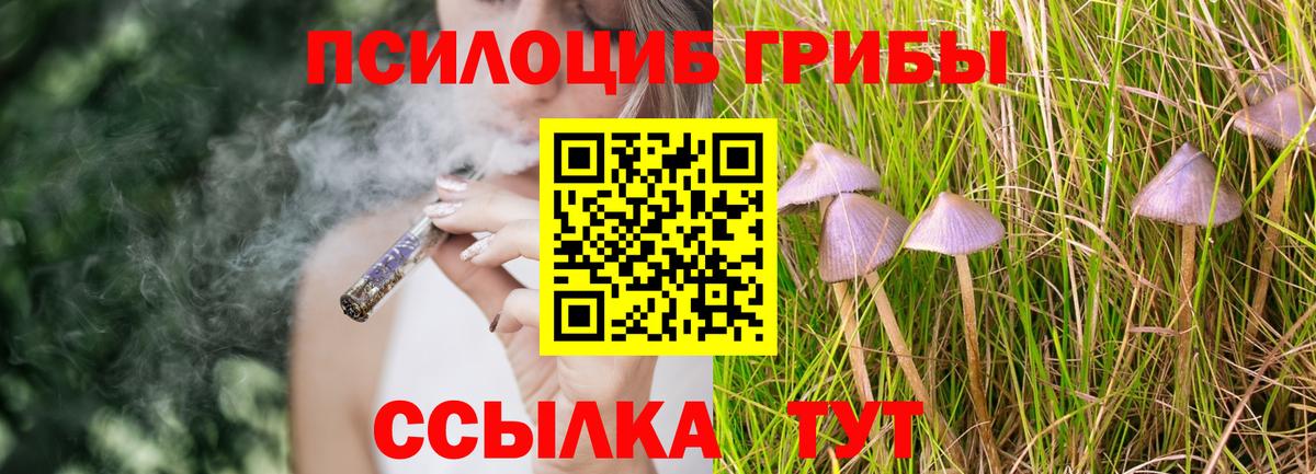 Галлюциногенные грибы MAGIC MUSHROOMS Комсомольск-на-Амуре