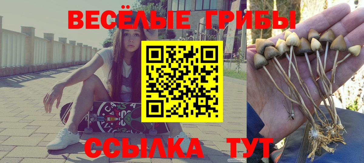 Псилоцибиновые грибы Psilocybe  Псилоцибиновые грибы MAGIC MUSHROOMS  Вход с VPN  Комсомольск-на-Амуре 