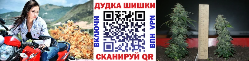Конопля сатива  Комсомольск-на-Амуре 